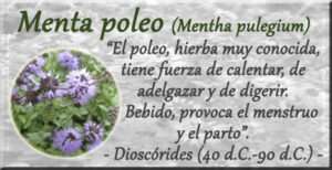 aceite esencial de menta poleo