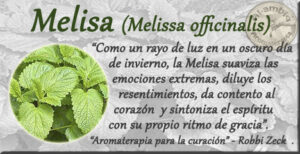 aceite esencial de melisa